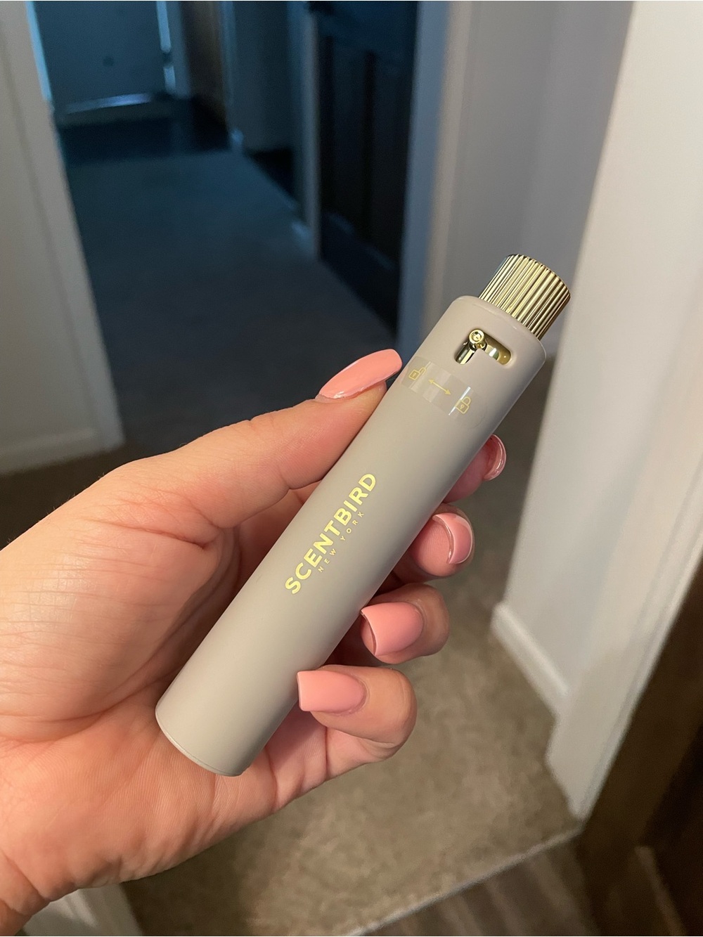 Michael Kors Sexy Amber - Scent Bird